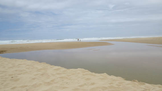 travel agency johannesburg